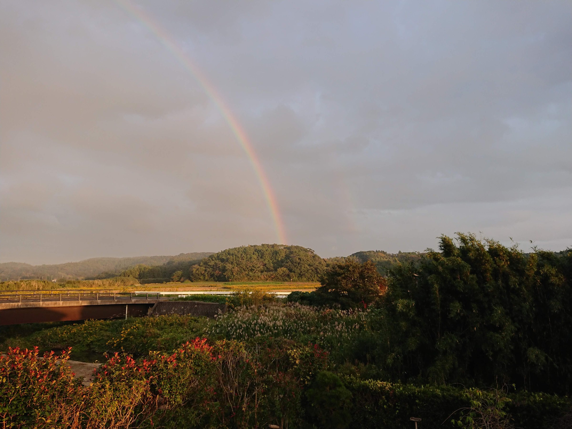 南房総の田畑と里山にかかる虹。夕方の柔らかな光の風景